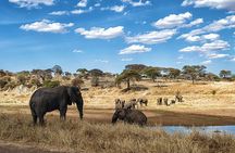 5-Day Tanzania Safari and Scenic Tour