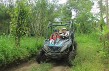 Buggy Driving