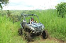 Buggy Driving