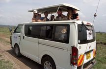 3 Days Maasai Mara Safari and Game Drive