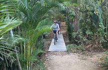 Discover the Magic of Nosara Cycling Tour