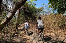 Discover the Magic of Nosara Cycling Tour
