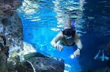 Best in Class: Private Snorkeling Xpedition