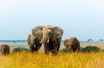 Private Luxury 3 Day Maasai Mara National Reserve Experience