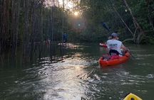 Kayak Mangrove Tour in Manuel Antonio 