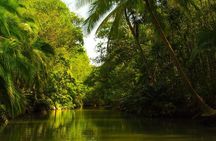 Kayak Mangrove Tour in Manuel Antonio 