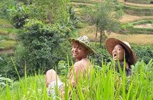 Private Half Day Heritage and Cultural Ubud Tour - All Inclusive