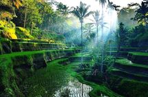 Private Half Day Heritage and Cultural Ubud Tour - All Inclusive