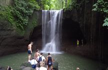 Private Half Day Heritage and Cultural Ubud Tour - All Inclusive