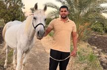 Traditional Egyptian Breakfast at the AlHabib Arabian Horse Farm