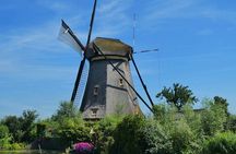 Full Day Private Kinderdijk and South Holland Tour