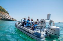Torquay Coastal RIB Seafari