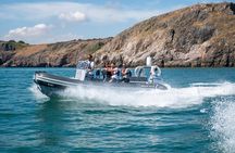 Torquay Coastal RIB Seafari