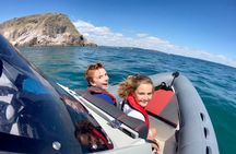 Private Coastal Boat Tour in Torquay