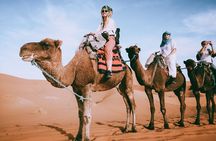 5-Days Toukbal summit tour & Sahara desert 