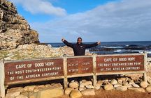 Cape of Good Hope, Boulders Beach Full Day Private Experience