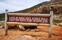 Cape of Good Hope, Boulders Beach Full Day Private Experience