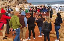 Cape of Good Hope, Boulders Beach Full Day Private Experience