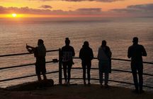 Cape of Good Hope, Boulders Beach Full Day Private Experience