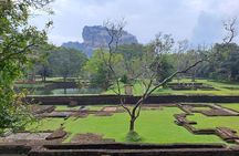Explore Sigiriya Rock Fortress with a Guide