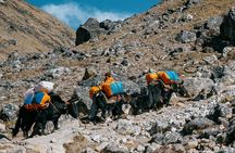 Everest Base Camp Trek - 14 Days