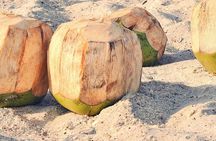 Mozambique Food and Culture Tour