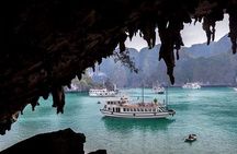 Ha Long Full Day Tour : Kayak,Cave,Swimming from Tuan Chau Island