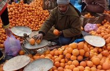 Atlas Mountains Tour from Marrakesh 