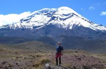 Chimborazo Volcano Tour from Quito – Closest Point to the Sun