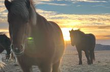 Private Reykjanes Peninsula Guided Tour