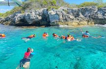 Snorkeling in Isla Mujeres and Underwater Museum