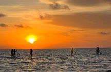 Sunrise Stand Up Paddle activity on a privileged beach.