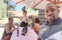 Private Full Day Wine Tasting in Cape Town 