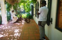 Private Full Day Wine Tasting in Cape Town 
