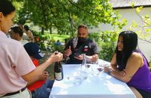Private Full Day Wine Tasting in Cape Town 