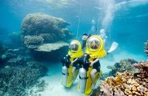 Scuba Doo Underwater Scooter in Punta Cana