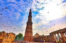 Full Day Old Delhi and New Delhi Tour