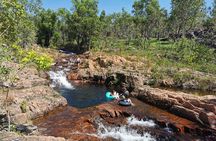 Litchfield National Park Day Tour & Berry Springs, Max 11 Guests