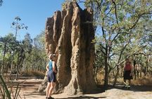Litchfield National Park Day Tour & Berry Springs, Max 11 Guests