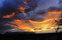 Exclusive Sunset Game Drive Safari near Hoedspruit