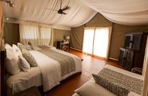 3 Days Zaina Luxury Experience Mole Safari
