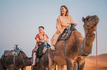 Camel ride in Agadir with hotel pick up and drop off
