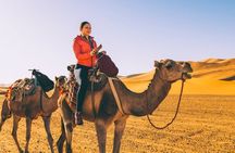 Camel ride in Agadir with hotel pick up and drop off