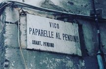 Naples Historical Center walking tour (2hrs)