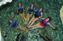 4-Hour Cenotes Tour with Hotel Pickup in Riviera Maya