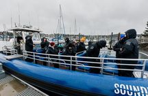 Anacortes Whale Watching Adventure Tour - Zodiac Boat