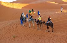 Merzouga Desert Campsite &Camel Excursions