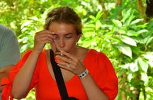 Jungle Horseback Riding + Chocolate Experience 