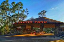 Addis Ababa +Mount Entoto View Point,Museums Palace Market Tours