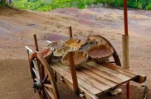 Picturesque South Tour Of Mauritius, Incl Lunch,7-Coloured Earth 